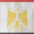 Egypt Flag Distressed iPhone XR Skin